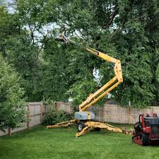 Best Tree Mulching Services  in USA